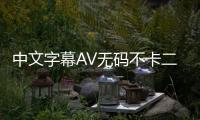 中文字幕AV无码不卡二区的影片分类